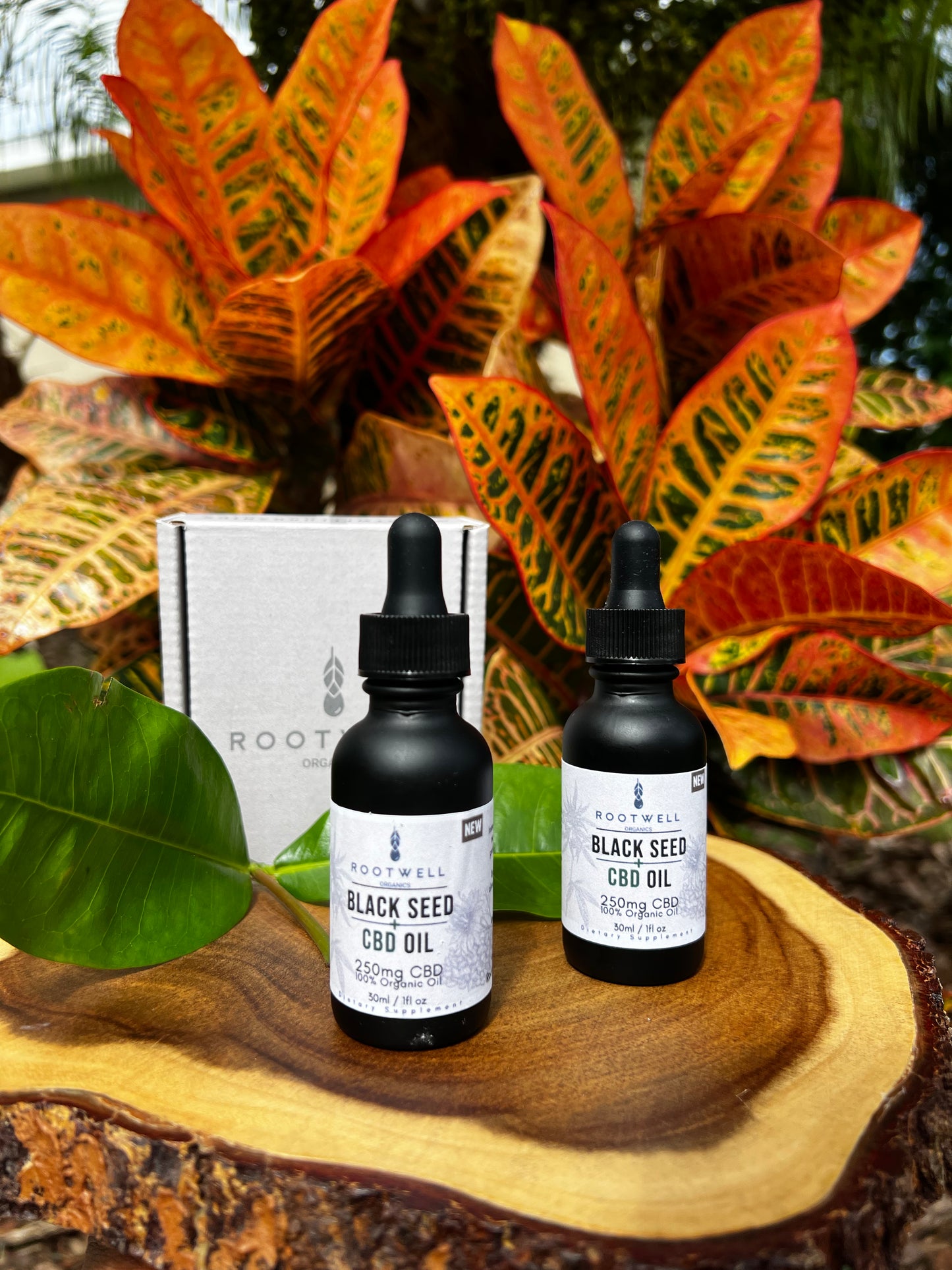 Black Seed Oil + CBD